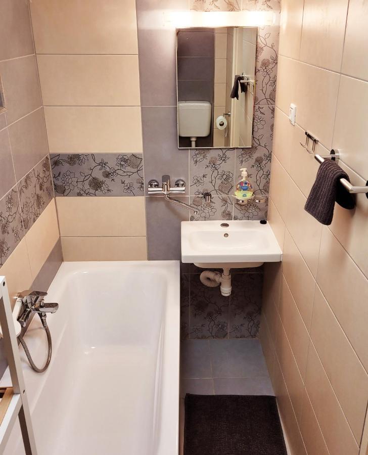 Indira Vendeghaz Apartment Mestecǎneşti Exterior foto
