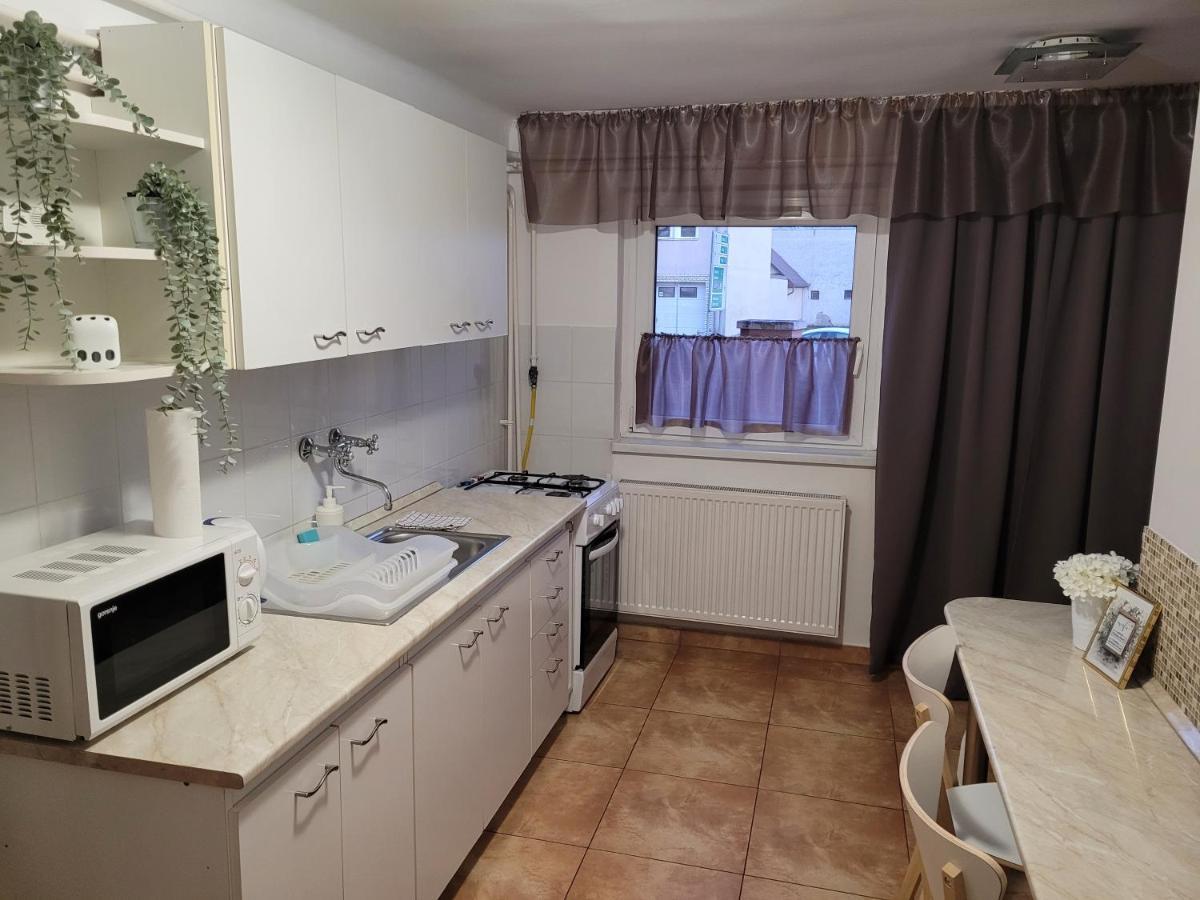 Indira Vendeghaz Apartment Mestecǎneşti Exterior foto