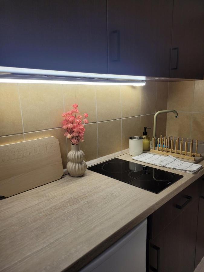 Indira Vendeghaz Apartment Mestecǎneşti Exterior foto