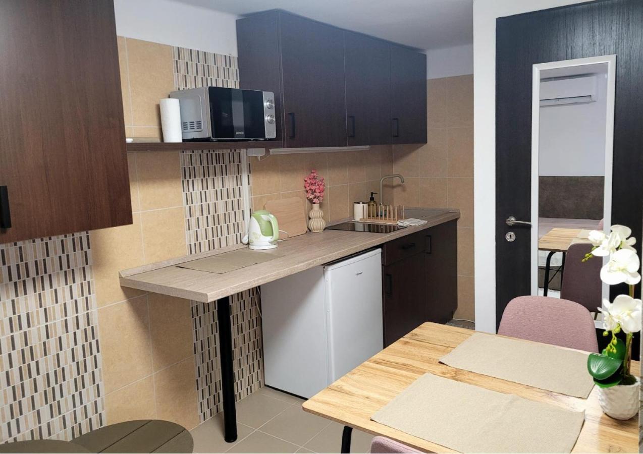 Indira Vendeghaz Apartment Mestecǎneşti Exterior foto